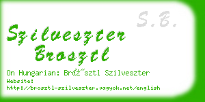 szilveszter brosztl business card